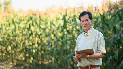 Naklejka na ściany i meble Portrait of successful senior male farmer standing in corn field. Agribusiness concept