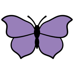 Purple Butterfly 