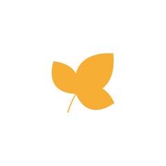 set of yellow dry leaves nature