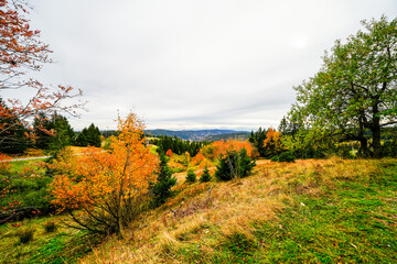 Landscape in autumn at Feldberg in the Black Forest. Feldbergsteig hiking trail. Nature in the Breisgau-Hochschwarzwald district in Baden-Württemberg.
