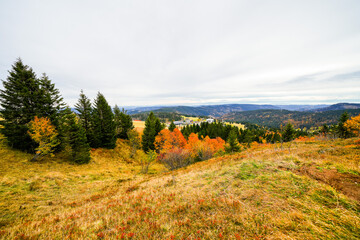 Fototapeta premium Landscape in autumn at Feldberg in the Black Forest. Feldbergsteig hiking trail. Nature in the Breisgau-Hochschwarzwald district in Baden-Württemberg. 
