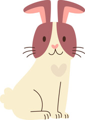 Rabbit Animal Sitting