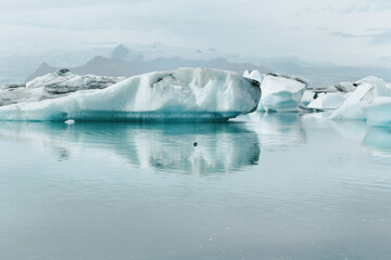 Tranquil isolated landmark blue Iceland glacier lake with icebergs