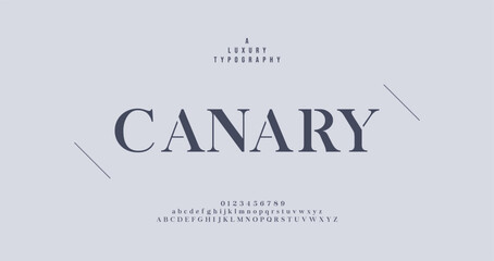 Canary Vector stylish sans serif font, uppercase letter set, alphabet, typography