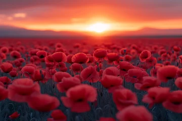 Zelfklevend Fotobehang Red Poppies in the Sunset A Stunning Snap for Your Instagram Feed Generative AI © Bipul