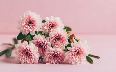 Obraz na płótnie Canvas Beautiful pink flowers on a pink background. Floral background