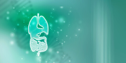 
2d illustration human digestive system - obrazy, fototapety, plakaty