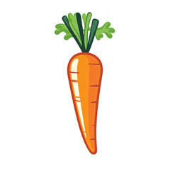 a carrot with green leaves