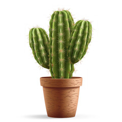 Cactus potted decoration home office transparent background 