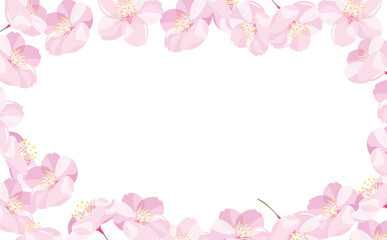 Obraz na płótnie Canvas 背景やタイトルに使えるシンプルな満開の桜の花びらのコピースペースのある白背景(透過)春フレーム