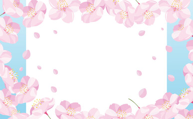 Fototapeta na wymiar 背景やタイトルに使えるシンプルな満開の桜吹雪と花びらのコピースペースのある白背景と青空の春フレーム