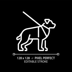 Guide dog white linear icon for dark theme. Visual impairment, support animal. Pet training. Blindness support services. Thin line illustration. Isolated symbol for night mode. Editable stroke