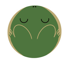 cute round shape green frog