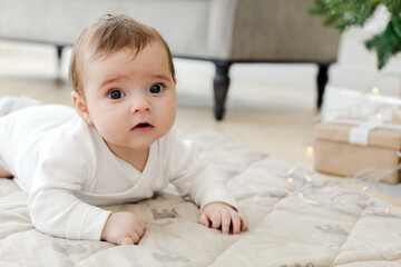 Adorable baby with opened mouth looking at camera while lying on belly on soft bed in living room against blurred sofa green plant ornamental lights and gift box in daylight