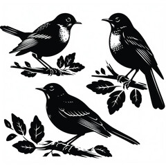 Flying Sparrow Silhouette Vector 