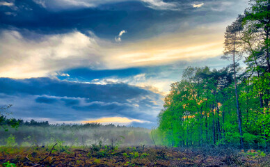 This captivating image showcases the dramatic beauty of nature with a misty forest scene under a...