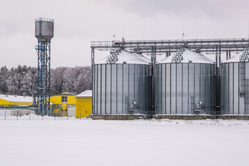 silos and agro-processing plant for processing for drying cleaning and storage and seed preparation complex in snow of winter field © hiv360
