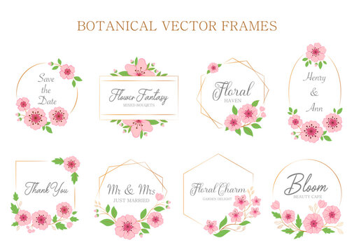 Set of pink sakura, botanical frames with text for wedding. Vector illustrations