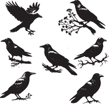 Black crow silhouette vector