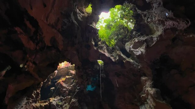 Looking Up at Shaft of Light in Dark Cave with Lush Overhead Opening