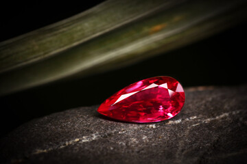 Red Diamond and Rose Amidst Green, Isolated on White Background, Representing Valentine's Love, Beauty, and Brightness