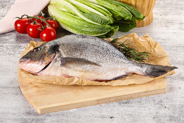 Raw dorada fish served rosemary