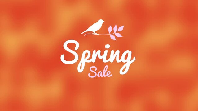 A vibrant image depicts a bird perched on a branch with bold Spring Sale text underneath. The colorful abstract background adds to the cheerful vibe