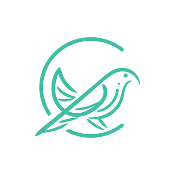 bird logo design isolated on white background