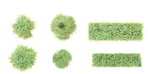 Top view of various sheena's gold isolated on white background. 3D render