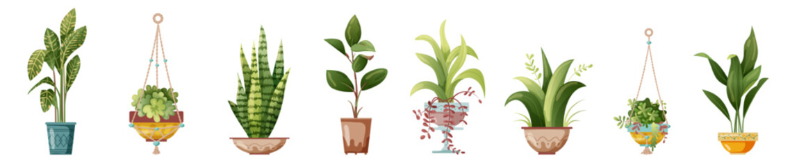 Houseplant and macrame plant growing in pots. Set of handmade home decorations macrame plants isolated on white background. Cartoon flat illustration. - obrazy, fototapety, plakaty