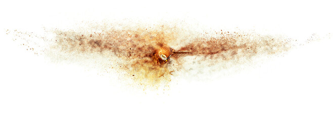 Flying owl. Abstract artistic nature. Dispersion, splatter effect. White background.