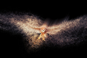 Owl. Abstract artistic nature. Dispersion, splatter effect. Black background.