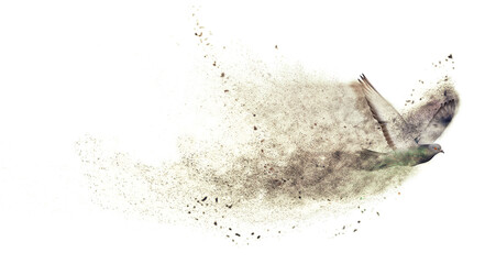 Flying pigeon. Abstract artistic nature. Dispersion, splatter effect. 