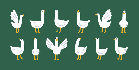 Cute goose set. Funny geese, adorable farm birds. Feathered winged animals, comic amusing fauna in simple childs style. Isolated kids childish nursery flat vector illustrations © Good Studio