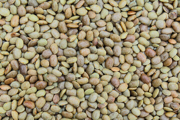 Horse gram seeds close-up view 