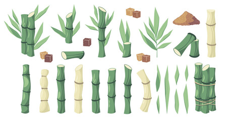 Cartoon sugar cane. Sweet stalks of sugarcane juice, organic raw material for sugar production, agriculture plantation and bio industry concept. Vector set. Natural plant for production - obrazy, fototapety, plakaty
