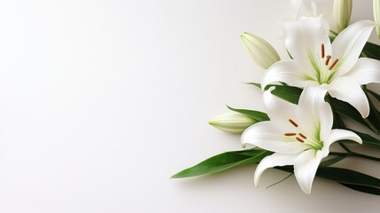 A minimalist Easter scene featuring a lone, graceful lily on a pristine white backdrop.