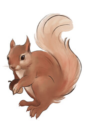 squirrel with acorn