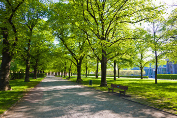 The Hofgarten is a garden in the center of Munich, Germany, located between the Residenz and the Englischer Garten.
