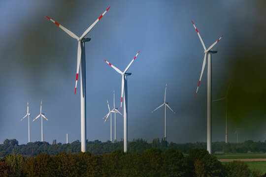 Wind farm turbines with trees in foreground