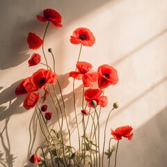 Warm sunlight bathes vibrant red poppies casting soft shadows on a creamy background