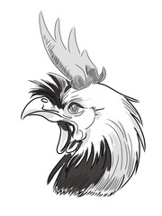 Sketch of a rooster in minimal colors. Color illustration for design