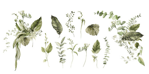 Watercolor floral composition. Hand painted flowers, green forest leaves of fern, eucalyptus leaf. Bouquet isolated on white background. Botanical illustration for design, print or background © 60seconds