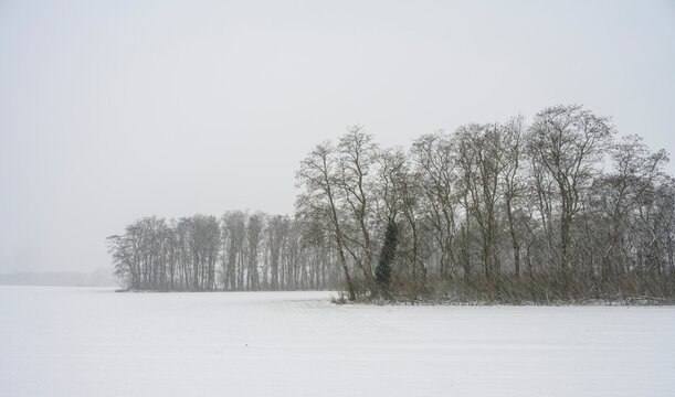 Netherlands, Limburg, Geleen, Windbreaks on snow-covered field