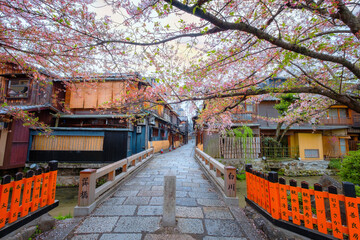 Tatsumi bashi bridge crosses Shirakawa river is the iconic place of Gion district in Kyoto, Japan