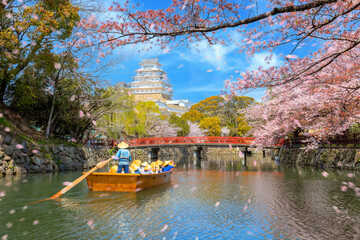 Himeji castle moat boat tour during full bloom cherry blossom in Hyogo, Japan