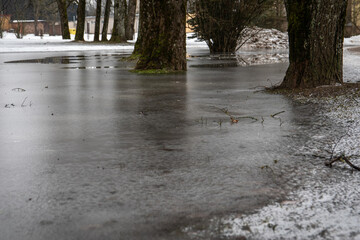 Flooded park in spring, water covered with ice