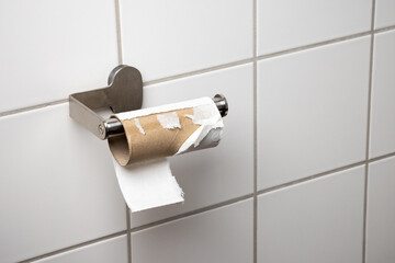 Empty Toilet Paper Roll on a Bathroom Holder