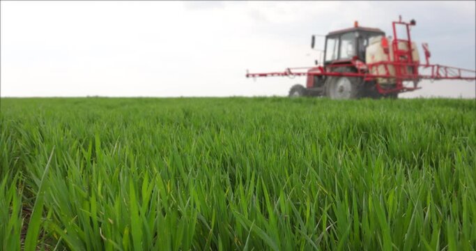 Crop sprayer spraying pesticide on a wheat field, slow motion. Spring day landscape. The tractor and the sprayer protect the crop from diseases and pests, due to the increase yield. Low angle view