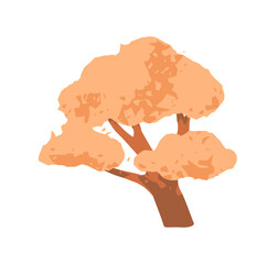 Orange cherry blossom tree, Japanese plant. Blossomed sakura, Japan floral vegetation. Spring sacura, blooming flowers on branches. Flat graphic vector illustration isolated on white background